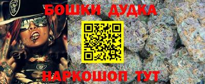индика Будённовск