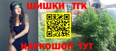 индика Будённовск