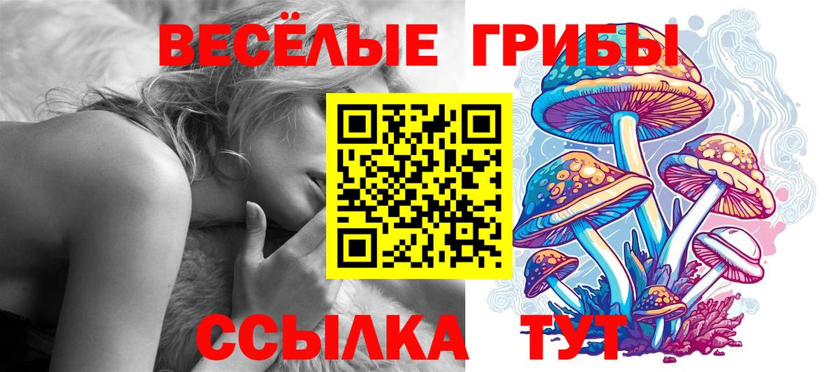 Галлюциногенные грибы Cubensis  Вход с VPN  как найти   Троицк  Псилоцибиновые грибы Psilocybine cubensis 